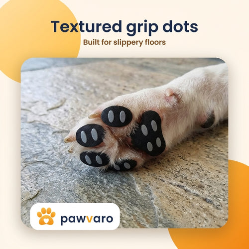 Close-up of textured anti-slip grip dots on a dog's paw